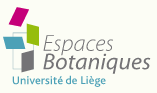 Logo Espaces Botaniques Université de Liège - Observatoire du monde des plantes