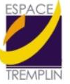 Logo Rebonds (Espace Tremplin)