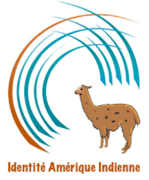 Logo Identité Amérique Indienne (idamind)